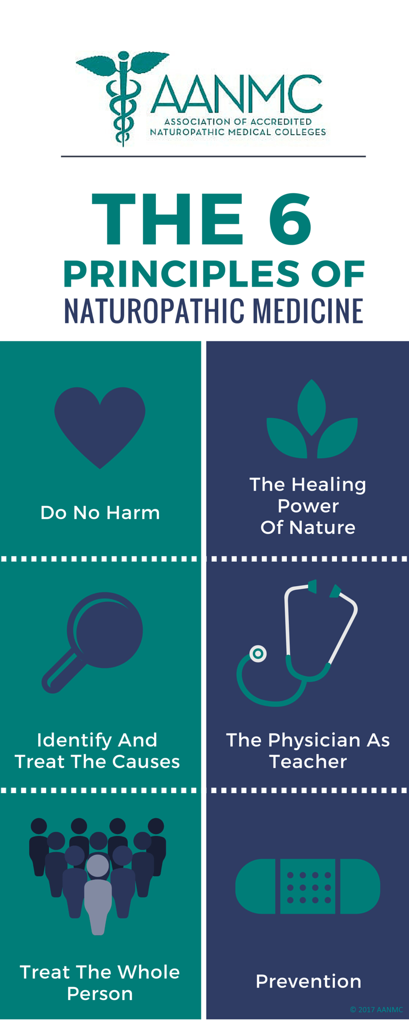 What is Naturopathic Medicine?