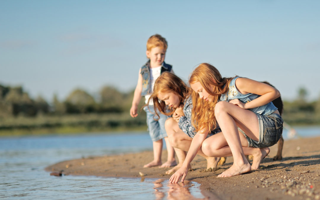 genetically related siblings exploring the shoreline